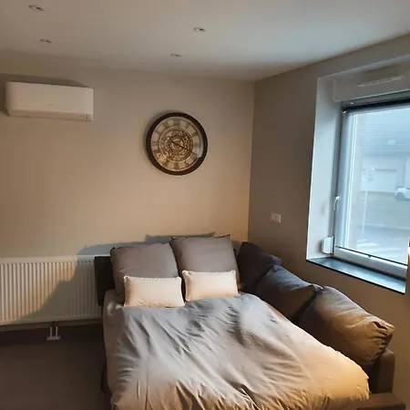 Appartement, Proche Europa-park Colmar Strasbourg Sundhouse