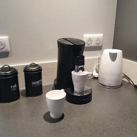 公寓 Appartement, Proche Europa-park Colmar Strasbourg *