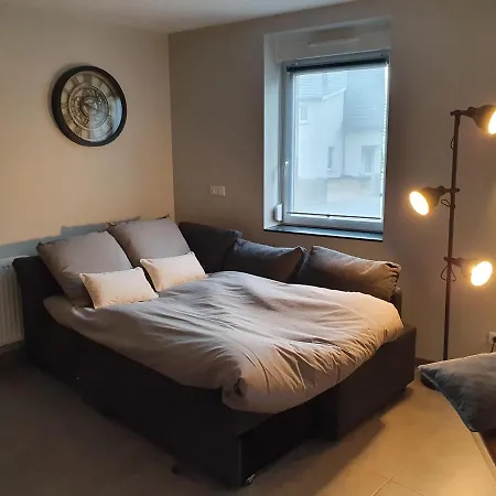 Appartement, Proche Europa-park Colmar Strasbourg 公寓