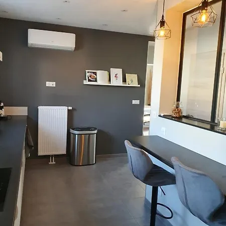 아파트 Appartement, Proche Europa-park Colmar Strasbourg