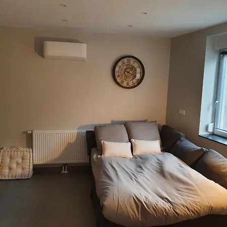 Appartement, Proche Europa-park Colmar Strasbourg Sundhouse