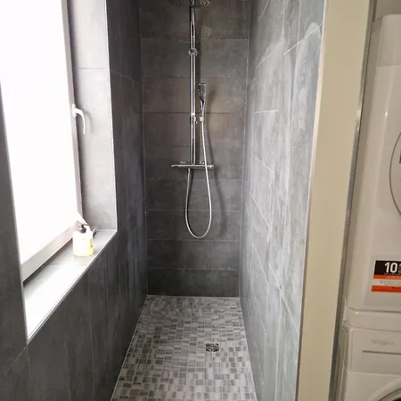Appartement, Proche Europa-park Colmar Strasbourg Appartement *